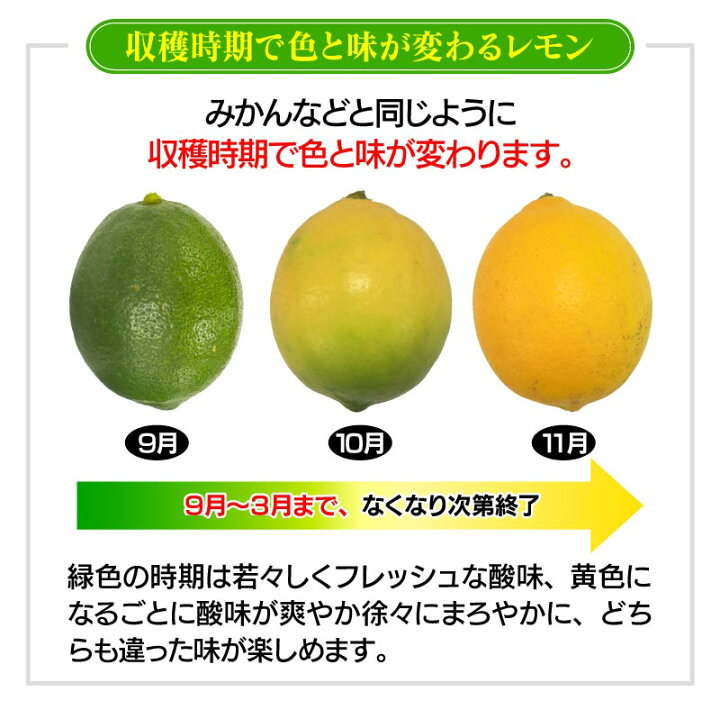 在庫あり Z45 愛知県産 国産 レモン れもん 檸檬 9〜12個入り