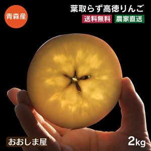 ɂ̖  2kg 8`12  XY 12{菇oׁ S ʕ t[c _ƒ Yn