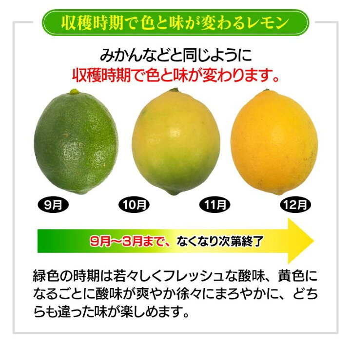 楽天市場 国産 レモン 熊本産 4kg 11月中旬より順次出荷 リスボン れもん ノーワックス 防カビ剤不使用 産地直送 大嶌屋 おおしまや おいしさ直送 熊本おおしま屋