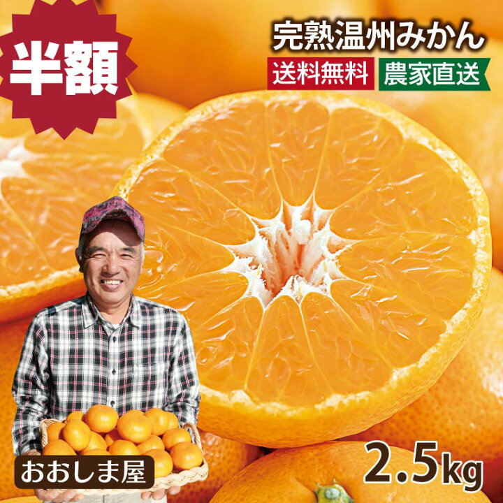楽天市場】みかん 2.5kg 送料無料【11月中旬より順次出荷】 熊本産 