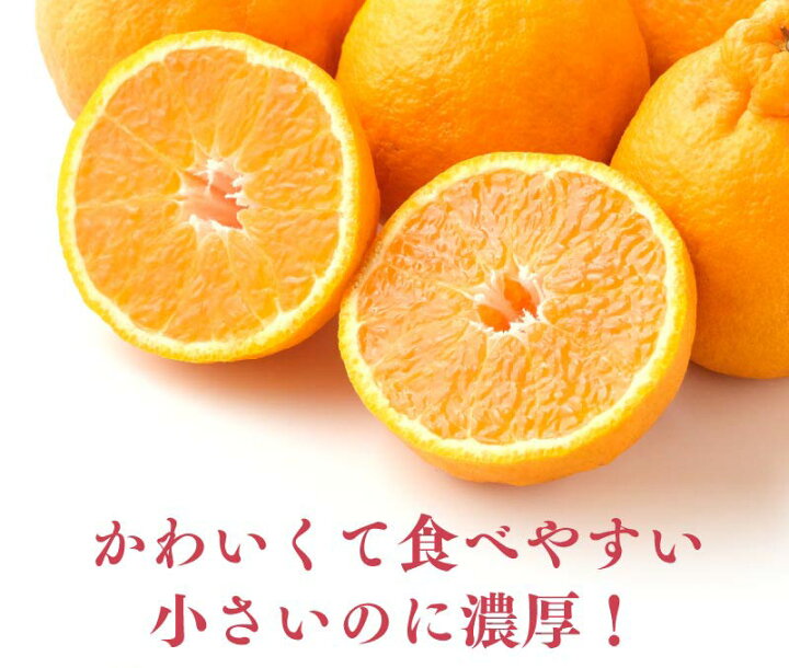 楽天市場】みかん 小玉 不知火 完熟 おでこちゃん 4kg 送料無料 小さい 