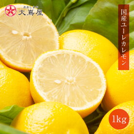 レモン 国産 1kg 送料別 ＜10月上旬頃より順次出荷＞ 減農薬 ノーワックス 防カビ剤不使用 熊本産 ユーレカレモン みかん 果物 フルーツ 農家直送 産地直送
