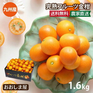 ݂  n t[c  1.6kg  1{菇oׁ ~J 񂩂 LJ H Y BY _ƒ Yn t[c ʕ ܂