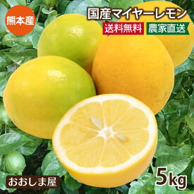 レモン 国産 5kg 送料無料 ＜9月下旬頃より順次出荷＞ 減農薬 ノーワックス 防カビ剤不使用 熊本産 マイヤーレモン メイヤーレモン みかん 果物 フルーツ 農家直送 産地直送