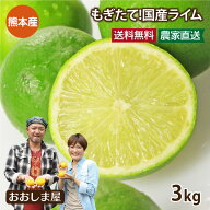 国産 熊本 ライム 3kg(36玉前後) 送料無料 ＜10月上旬より順次出荷＞ ノーワックス 減農薬 防カビ剤不使…