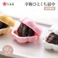幸梅 もなか 12個入 1000円ポッキリ 送料無料 あんこ 餡子 モナカ 最中 ひとくち 一口 おやつ 小腹 個包…