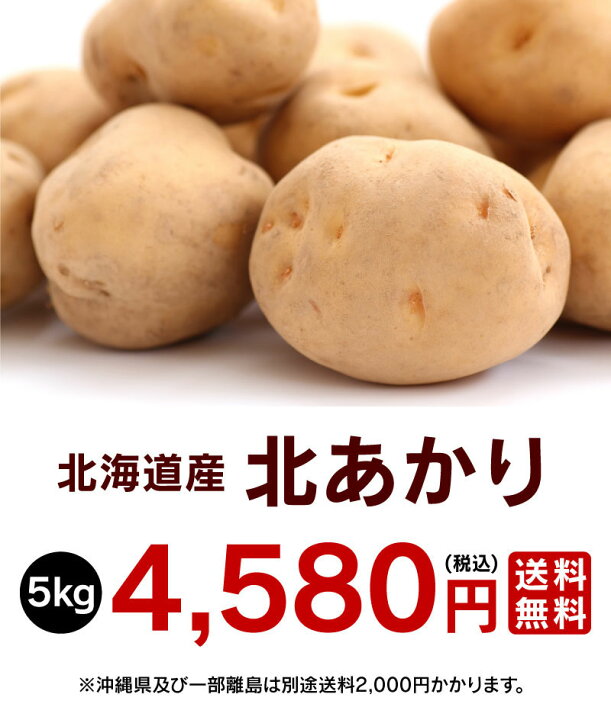 972円 最高品質の 富良野地方卸売市場 北あかりじゃがバター 1個×30個入 972円 最高品質の 富良野地方卸売市場 北あかりじゃがバター 1個×30個入
