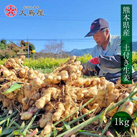 生姜 1kg 送料無料 新生姜 熟成生姜 ひね生姜 ショウガ しょうが 土付き 露地栽培 ＜11月上旬頃より出荷＞ 薬味 調味料 手作り 料理 レシピ 酢漬け 漬物 産地直送 農家直送 国産 野菜 食品 グルメ