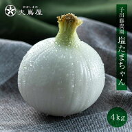 たまねぎ 塩たまちゃん 4kg 送料無料 ＜4月下旬より出荷予定＞ 玉葱 タマネギ 塩たま 塩玉ちゃん 塩たま…