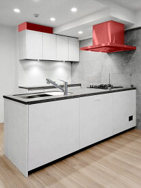 【モデルルーム展示品】【特注・未使用品】タカラスタンダード ペニンシュラタイプ W2435 クォーツストーン天板 右シンク システムキッチン / W1640 カップボードセット ホワイト(模様有り) マンション 戸建て リフォーム【Y0821-01】