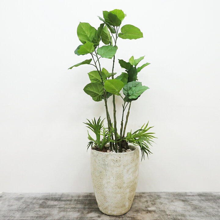 モデルルームで使用 観葉植物 フェイクグリーン