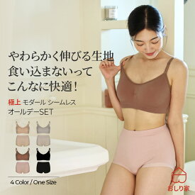 ブラショーツセット ブラジャー ショーツ シームレス おしゃれ かわいい シームレスショーツ シームレスブラ モダール 食い込まない ヒップアップ バストアップ