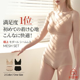 ブラ ショーツ レディース ブラジャーショーツ セット シームレスショーツ ノンワイヤー ワイヤーレス フックレス シームレス 美尻 脇高 上下セット レディース バストアップ ヒップアップ 薄着 透けない 響かない ベージュ ブラショーツセット
