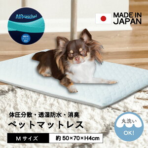 Gg[P10{ hybg}bgX ^ ^ MTCY p Lp @\dl ybg}bgX { y GA[bZ ̈U L@\  ʋC h  a 