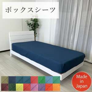 BOXV[c xbhJo[ V[c Pi I[V[Y n J[Cibv Vv  l炵 V Mtg F 