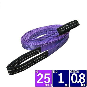 FREAK �x���g�X�����O ��25mm ����1m ���F �X�����O�x���g �i�C�����X�����O �ʊ|�� �N���[�� 65302 �敪60S