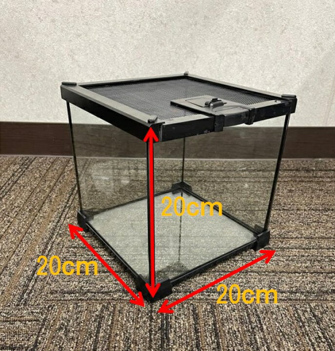 楽天市場】爬虫類 飼育ケース 20×20×20 ガラス 昆虫飼育ケース クモ 