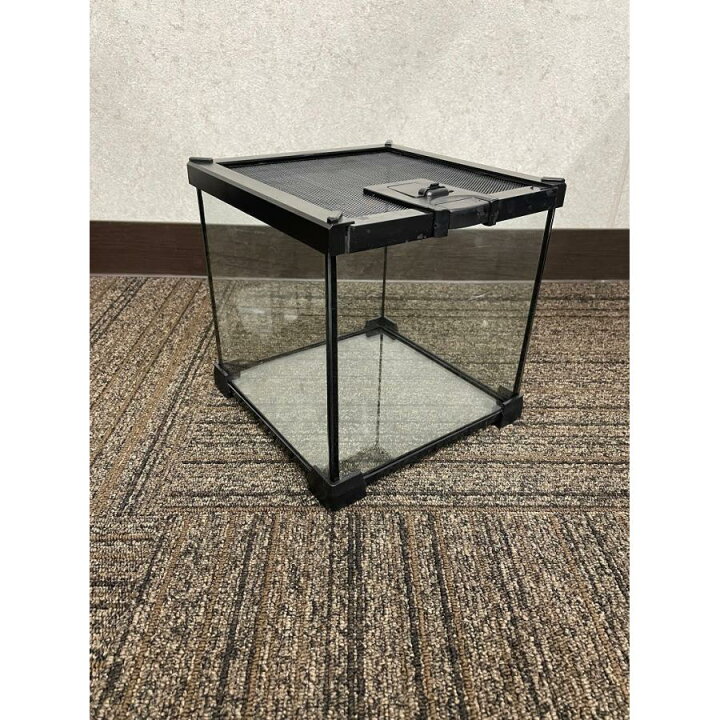 楽天市場】爬虫類 飼育ケース 30×30×30 ガラス 昆虫飼育ケース クモ 