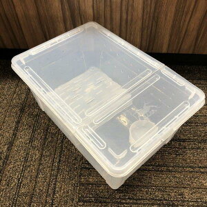 P[X P[X P[W }`P[X ঒ރP[X LTCY RYOSEI-L 敪60S