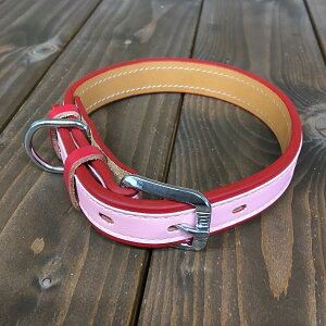 p  v TCY21 sN AKU-015 s󂠂 AEgbgt z敪60Y