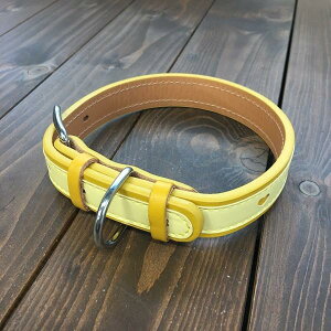 p  v TCY24 CG[ AKU-019 s󂠂 AEgbgt z敪60Y