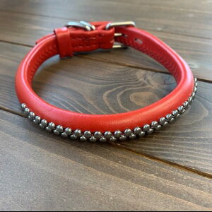 p  v TCY45  AKU-026 s󂠂 AEgbgt z敪N