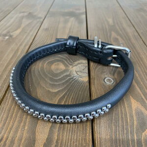 p  v TCY45  AKU-029 s󂠂 AEgbgt z敪N