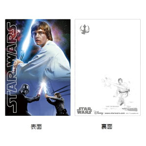 STAR WARS X^[EH[Y 3D|XgJ[h |XgJ[h 鍑̋tP VȂ] WF_C̋A tH[X̊o [O Ō̃WF_C [NXJCEH[J[ _[XxC_[ VX 
