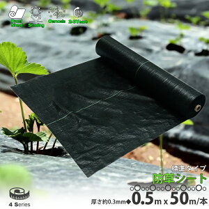 hV[g  0.5m×50m 1 0.3mm _pV[g 悯V[g |pi DIY  V[g Gh~V[g K[fjO  c  nEX C Gh~ G}  lHŉ 