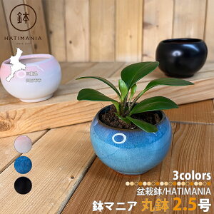 HATIMANIA }jA  2.5 ~͔ ₷  TCY  XO `H| ~ A T{e AKx  ϗtA R쑐 A 򍪐A  ۃE a  v^