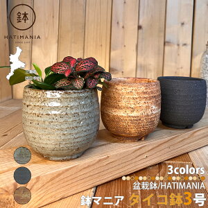 HATIMANIA }jA ^CR 3 { ~͔ ₷  XO `H| ~ A T{e AKx  ϗtA R쑐 A 򍪐A  ۃE a  v^[ ~