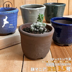 HATIMANIA }jA E`E ED 3.5 Â ~͔ ϗtA T{e A ~j~ STCY Od uh n`}jA  ~jA ~jv^[ A CeA 