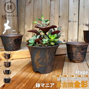 HATIMANIA 鉢マニア 金彩 3号 六平 3.5号 尻丸 ラッパ 3.5号 浅型 3.5号 日本製 萬古焼 盆栽鉢 水が抜けやすい 陶器 森三 伝統工芸 盆栽 多肉植物 サボテン アガベ 苔 観葉植物 山野草 多肉植物 塊根