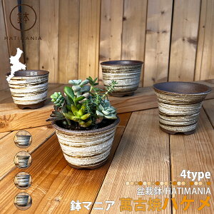 HATIMANIA }jA nP 3 Z 3.5 K bp 3.5 ^ 3.5 { ݌Ï ~͔ ₷  XO `H| ~ A T{e AKx  ϗtA R쑐 A 