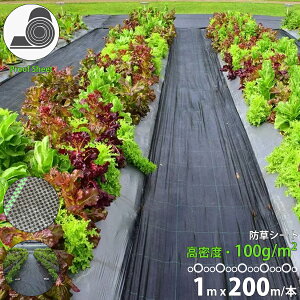 hV[g 1m×200m 100g/m2 i _pV[g 悯V[g |pi DIY  V[g  K[fjO  c  nEX C Gh~ G}  ԏ lHŉ ƒ