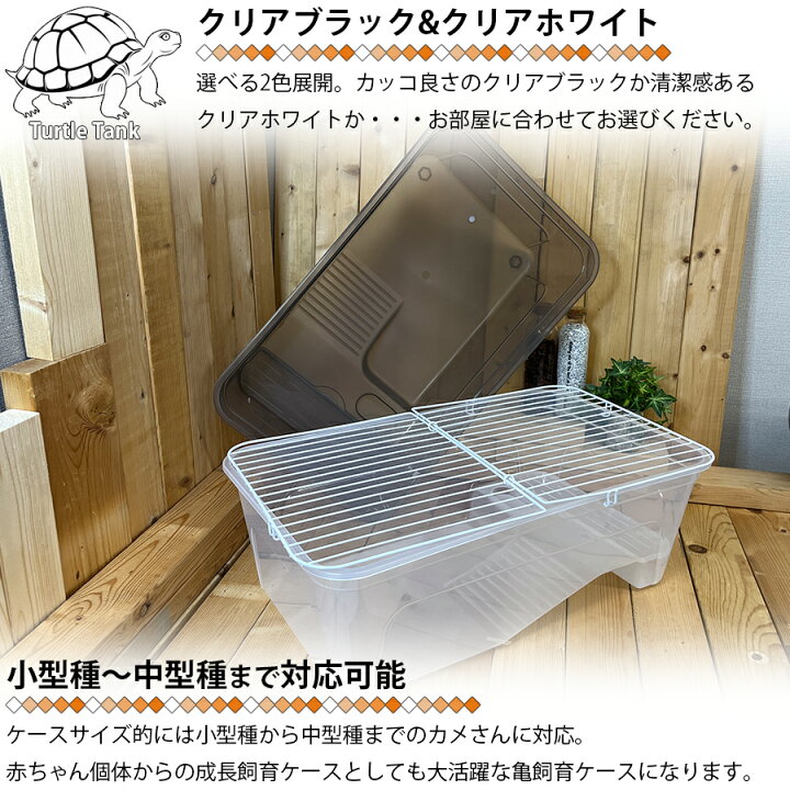 楽天市場】アップグレード 亀飼育ケース (中) タートルタブ 排水口付き 