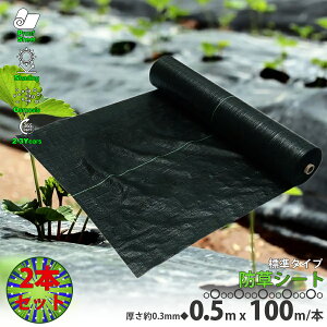 hV[g0.5m×100m 0.3mm 2{Zbg _pV[g 悯V[g |pi DIY  V[g ԏ Gh~V[g K[fjO  c  nEX C Gh~ G} ƒ