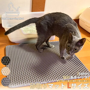 }bg 70×120cm LTCY Lp}bg gC}bg Uh~ L}bg Lbg}bg z}bg rbOTCY Th}bg ybgpi |pi lR}bg L}bg ȒP|