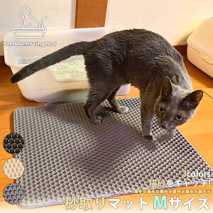 }bg 45×60cm MTCY Lp}bg gC}bg Uh~ L}bg Lbg}bg z}bg M[TCY Th}bg ybgpi |pi lR}bg L}bg ȒP