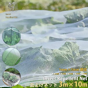 hlbg 3m×10m lbg 1mm 悯lbg hV[g Ԗڃlbg ׂ| ׂ _Ɨp ؉ c  _Ǝ | |pi K[fjO 낢 nEX |p ؍ 