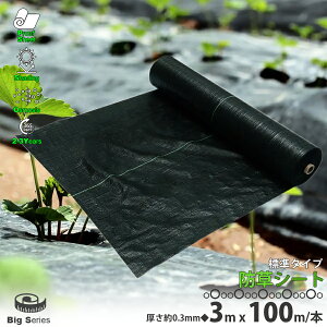 hV[g  3m×100m 1 0.3mm _pV[g 悯V[g |pi DIY  V[g  Gh~V[g K[fjO c  nEX C GG}  lHŉ G 