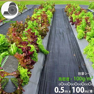 hV[g 0.5m×100m 100g/m2 i _pV[g 悯V[g |pi DIY  V[g  K[fjO  c  nEX C Gh~ G}  ԏ lHŉ ƒ