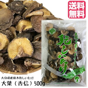 yz啪Y؊@t()@500g