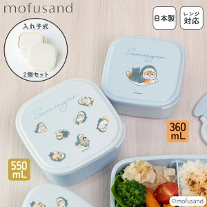 日本製 シール 容器 2個セット 弁当箱 抗菌 入れ子式 コンパクト 収納 デザートケース フルーツ入れ 保存容器 プラスチック レンジ対応 ランチボックス 小物入れ 小学生 高校生 大人 子供 か