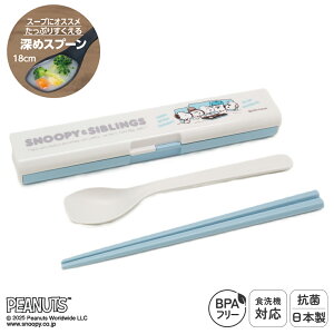 {  Xv[ Rr Zbg H@Ή 19.5cm ̂ȂȂ ٓp  gїp R @Ή }C ` ^ P[X ͂ ׂǂߕt ɂ₷ Zp vX`