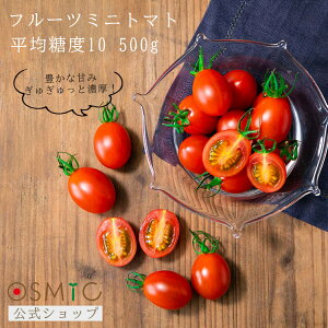 yϓx10zOSMIC t[c~jg}g 10i500gj OSMICg}g IX~bNt@[Xg IX~bNg}g ƒe ƒp J Y 