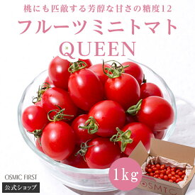 【糖度12】【定期購入】フルーツミニトマト QUEEN 1kg OSMICトマト オスミックファースト オスミックトマト ご家庭向け大容量 定期便