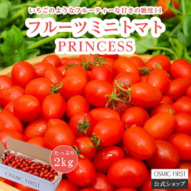 【糖度11】【定期購入】フルーツミニトマト PRINCESS 2kg OSMICトマト オスミックファースト オスミックトマト ご家庭向け大容量 定期便