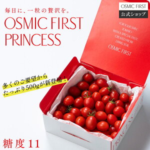 yx11zt[c~jg}g PRINCESS 500g OSMICg}g IX~bNt@[Xg OSMIC FIRST IX~bNg}g v[g Mtg  a j ƒe ƒp J Y 