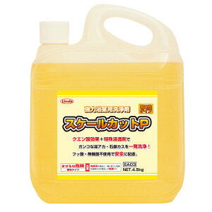 y܁z XP[JbgP 10kg(l)[ oX C Jr]